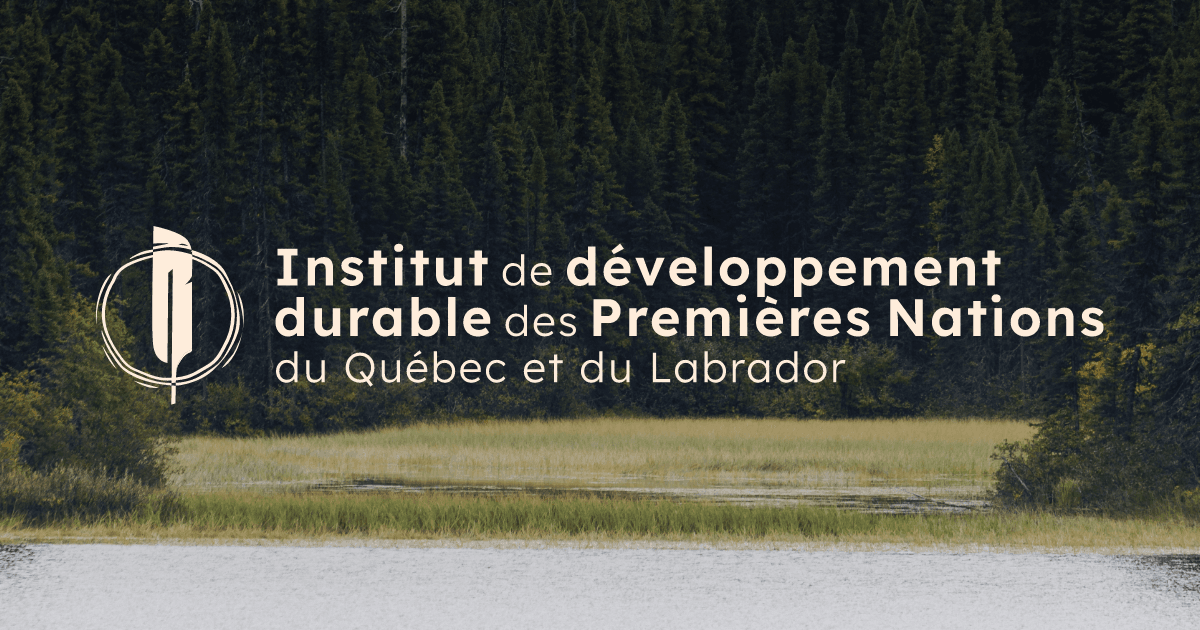 Ressource_IDDPNQL_Opaque