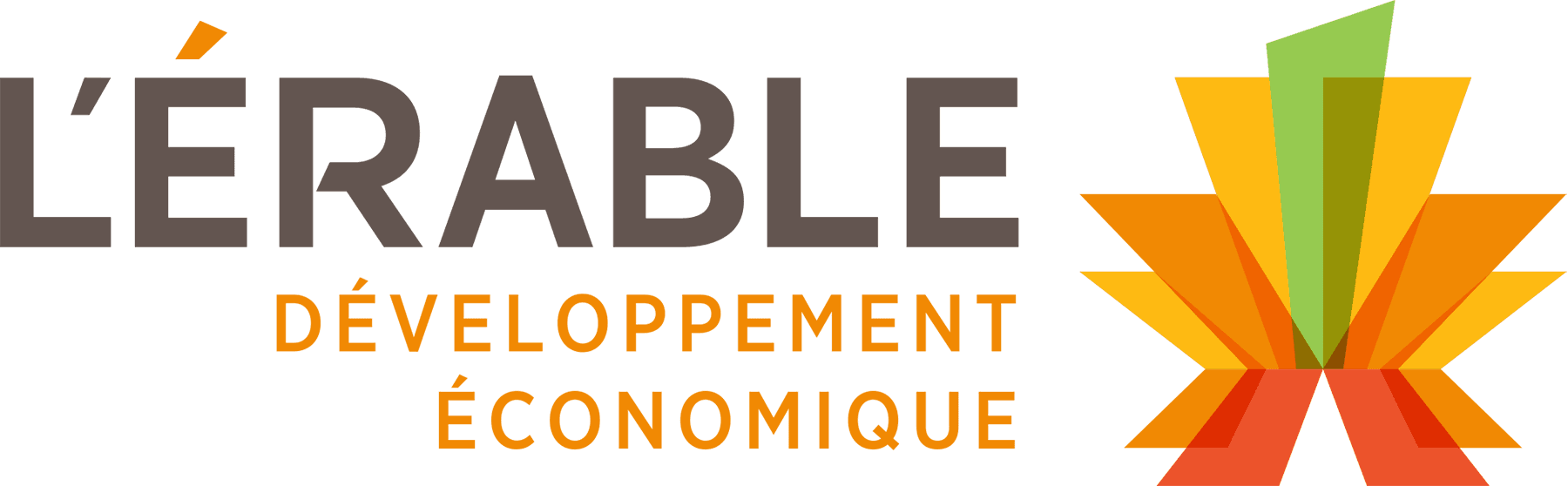 Ressource_L'érable_Couleur